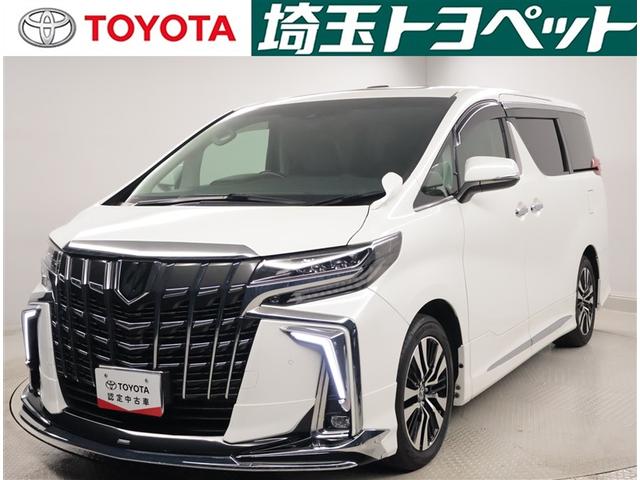 ȥ西 ե ӡåѥåξưɥ¥˥