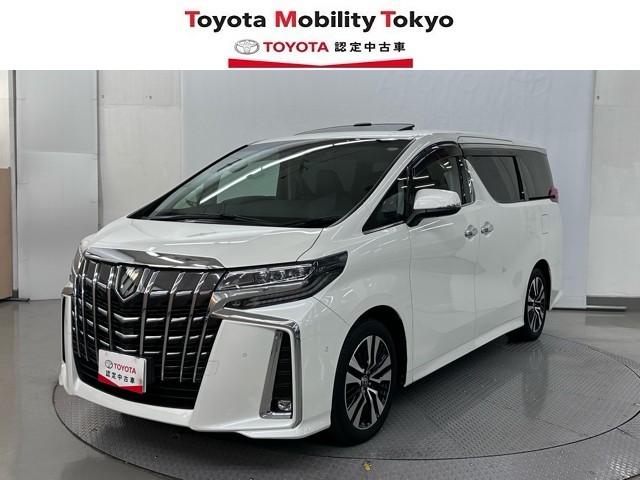 ȥ西 ե ӡåѥåξưɥ¥˥