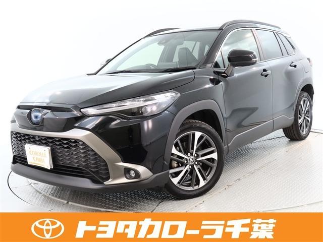 Ź˾κݤϻˤͽ򤪴ꤤפޤ ٤ǤŹؤ˸¤餻Ƥޤ 1