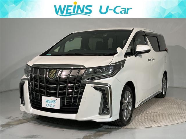 ȥ西 ե ӡץɡӡХå˥