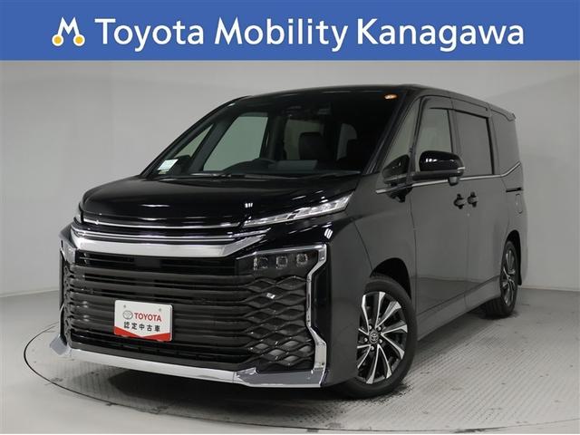 ߤξ¦ѥ饤ɥɥģʥӡХå˥ȣ 1