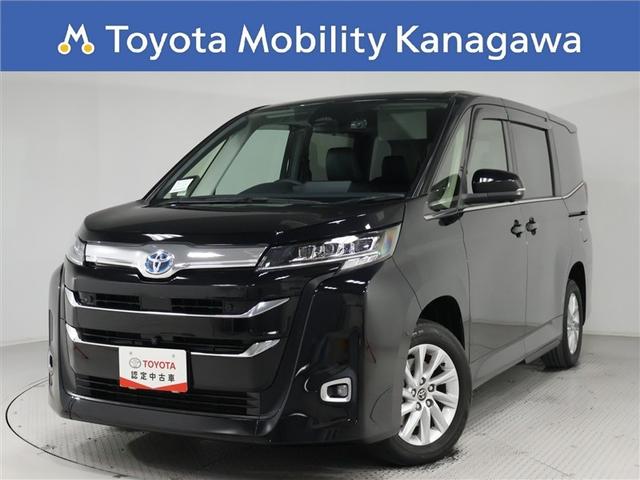 ȥ西 Υ ϥ֥åɣڡȥ西ǧż֡ر󥪡ʡ֥饤ɥݥåȥ˥