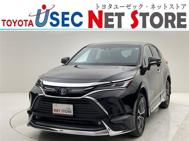 ȥ西 ϥꥢϥ֥å ǡǥץ쥤ǥʥӡǥꥹե륨ѥХåɥ