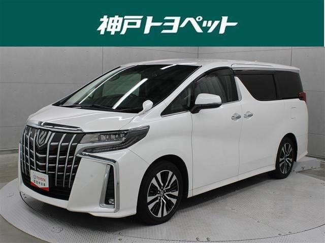 ȥ西 ե ӡåѥåե륻꡼ʥ