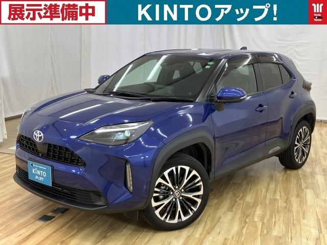 ȥ西 ꥹ ϥ֥åɣڡХå顡ﳲڸƥࡡţԣ