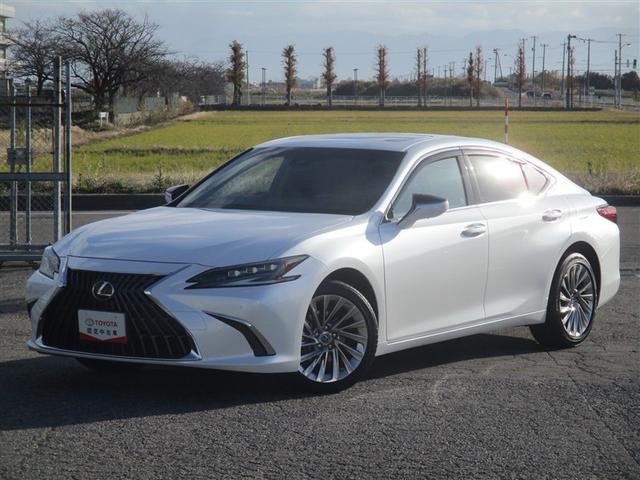 ＥＳ(レクサス) ＥＳ３００ｈ　バージョンＬ　革シート　サンルーフ　フルセグ　メモリーナビ　ミュージックプレイヤー接続可　バックカメラ　衝突被害軽減システム　ＥＴＣ　ＬＥＤヘッドランプ　ワンオーナー　アイドリングストップ 中古車画像