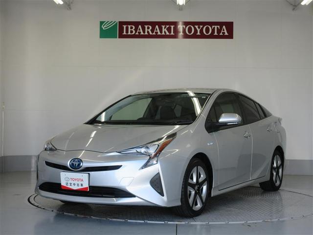 ȥ西 ץꥦ ӥġ󥰥쥯󡡥ե륪ȥ󡡥ǥ奢륨ХåХå˥