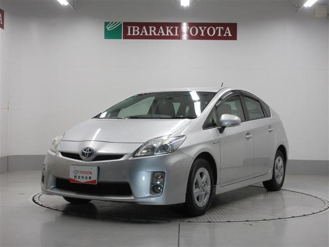 ȥ西 ץꥦ ӡ¥˥ݡʥӡǥ奢륨Хå