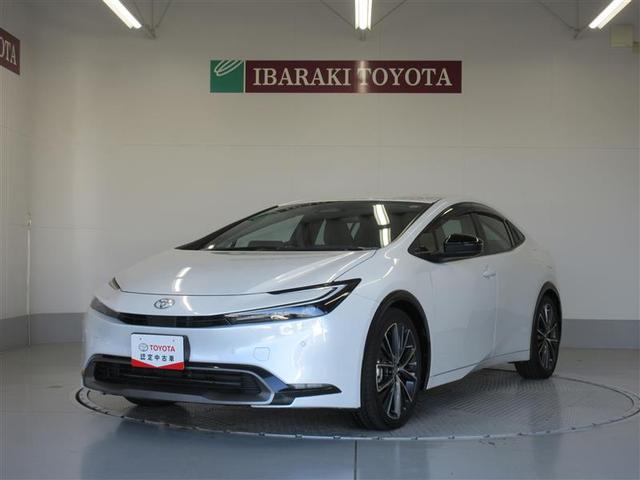 ȥ西 ץꥦ ڡꥢ顡ץꥯå塡ܳ