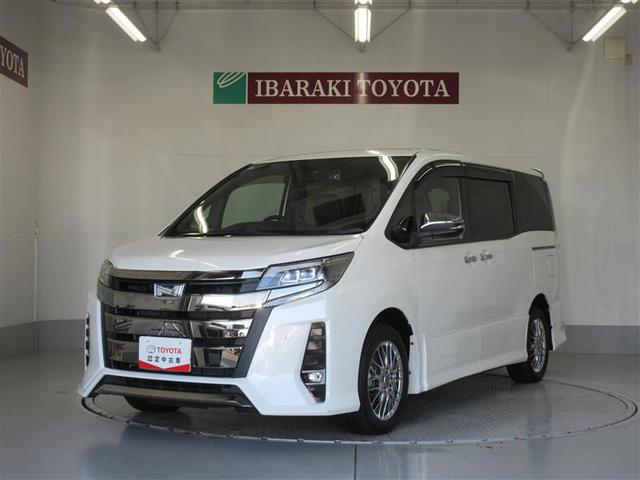 Υ ϥ֥åɣӣ顡֥Хӡɣɡ¥顡̣ţ 0401173A20251201T001 1