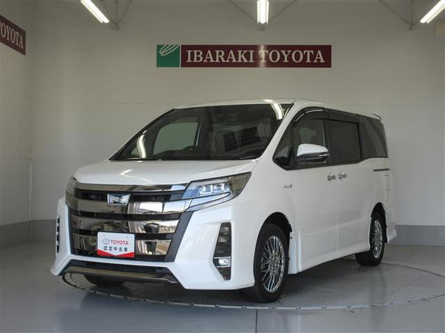 ȥ西 Υ ϥ֥åɣӣ顡֥Хӡɣɡ¥顡ɻ