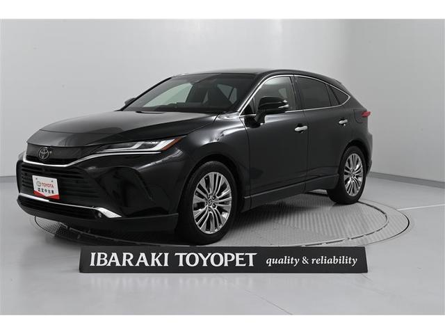 ȥ西 ϥꥢ ڡ󡡣ã֡ɻ