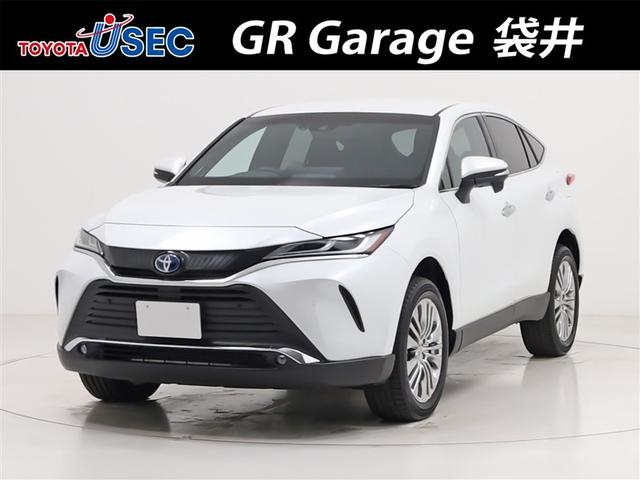 ȥ西 ϥꥢϥ֥å ڡ𻳲ʥӡե륻