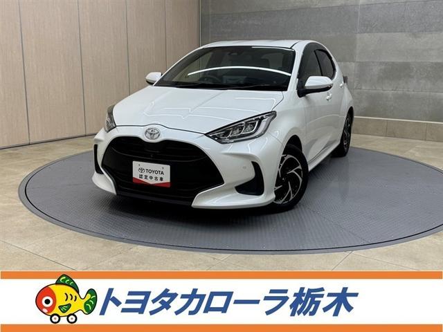 ȥ西 ꥹ ڡǥꥹߥۥ롡ǥץ쥤ǥʥ