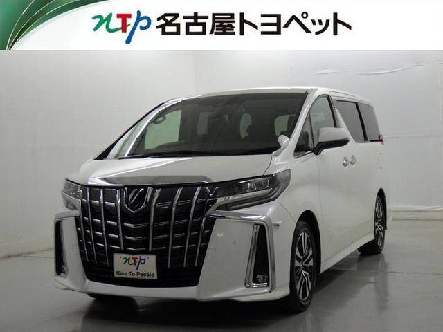 ȥ西 ե ӡåѥåﳲڸƥࡡ꡼ʥ