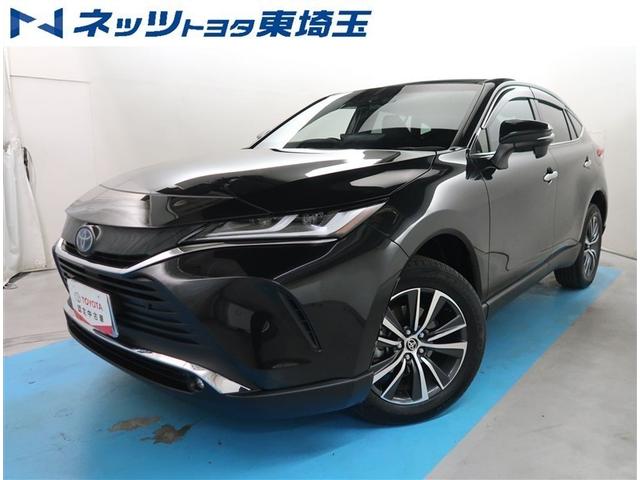 ȥ西 ϥꥢϥ֥å ǡѼ֡Хå顡ﳲڸ