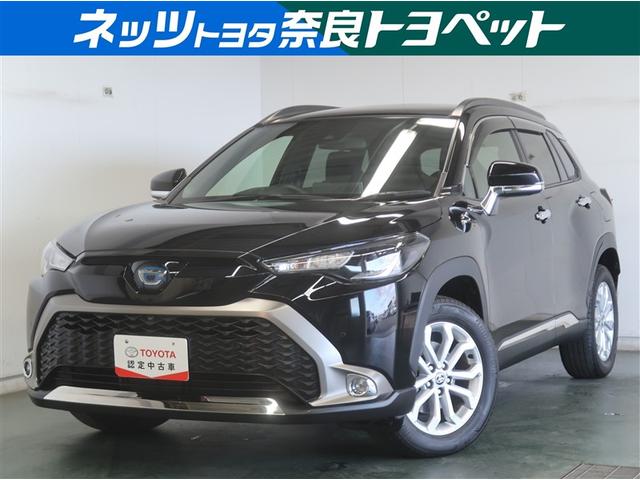 ȥ西 饯 ϥ֥åɡӡŸͷڸ