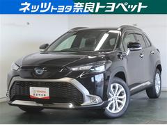 饯 ϥ֥åɡӡŸͷڸե륻ƥӡʥӡХå롼ȥ롡̣ţĥإåɥ饤ȡţԣüֺܴߥۥ롡¥˥ޡȥ쥹ߥ塼åץ쥤䡼³