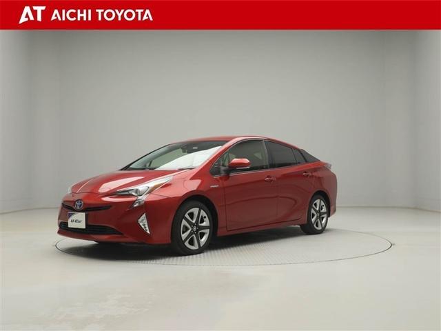 ȥ西 ץꥦ ӥġ󥰥쥯󡡥ƥꥭꥢ顡ʡ