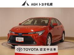 ȥ西顡ϥ֥åɡǡݣءץ饹롼ȥ