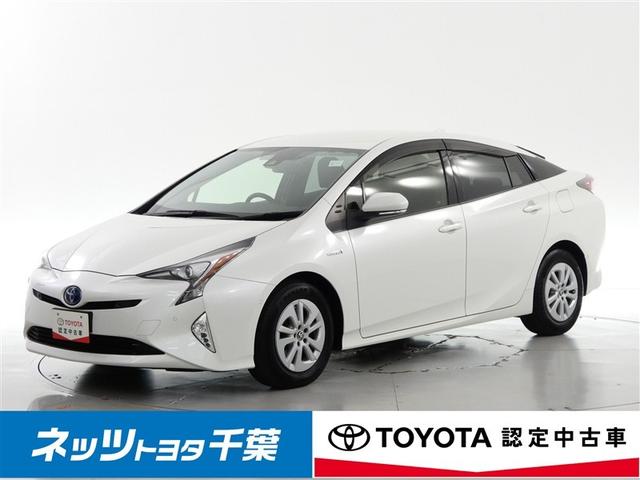 ȥ西 ץꥦ ӥեƥץ饹ե륻꡼ʥӡХå