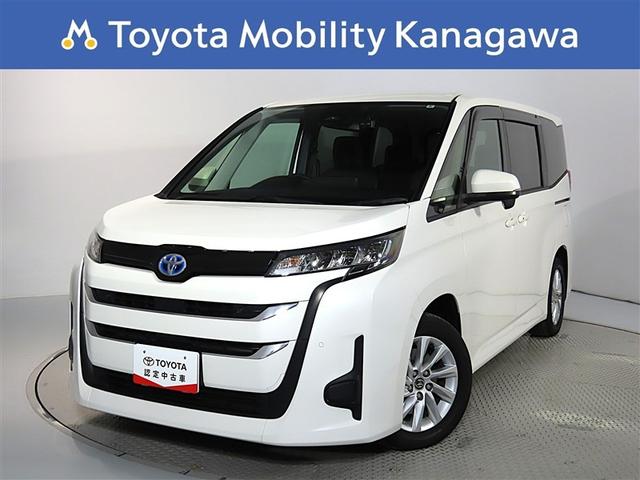 ȥ西 Υ ϥ֥åɣǡȥ西ǧż֡ر֡󥪡ʡ