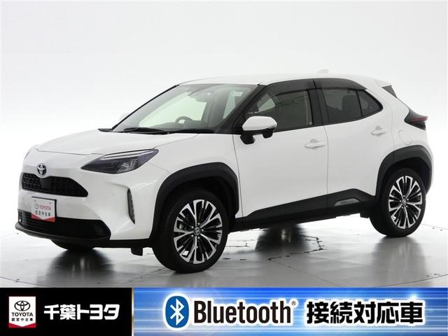 ȥ西 ꥹ ڡʥӡߥ塼åץ쥤䡼³ġư