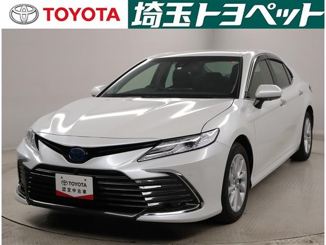 ȥ西  ǡţӣá䥫顡ѥɥ