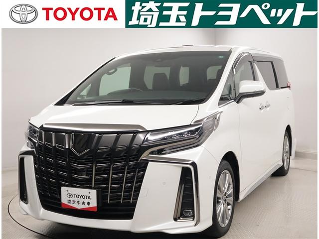 ȥ西 ե ӡץɡӡХå˥