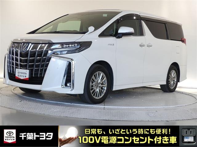 ǧż֡ͽɰե륻ԣ֡꡼ʥӡХå˥ 1