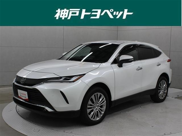 ȥ西 ϥꥢ ڡ쥶ѥåץȡե륻