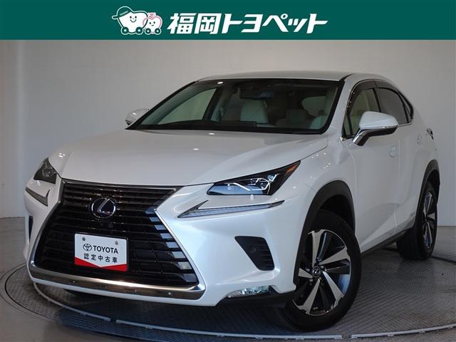 mw(NTX) mwROO@o[Wk@Փ˔QyVXe@[ir@tZO@obNJ@dsb@hR@kdcwbhv@X}[gL[ Îԉ摜