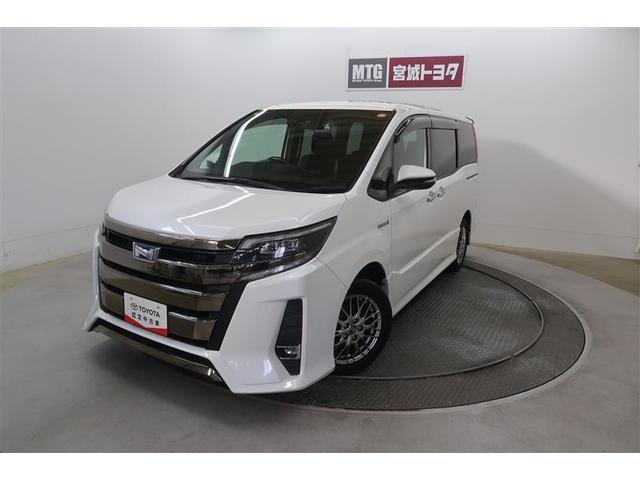 ȥ西 Υ ϥ֥åɣӣ顡֥Хӡե륻꡼ʥ