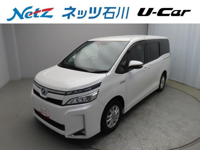 ȥ西  ϥ֥åɣ֡ե륻꡼ʥӡģ֣ĺ