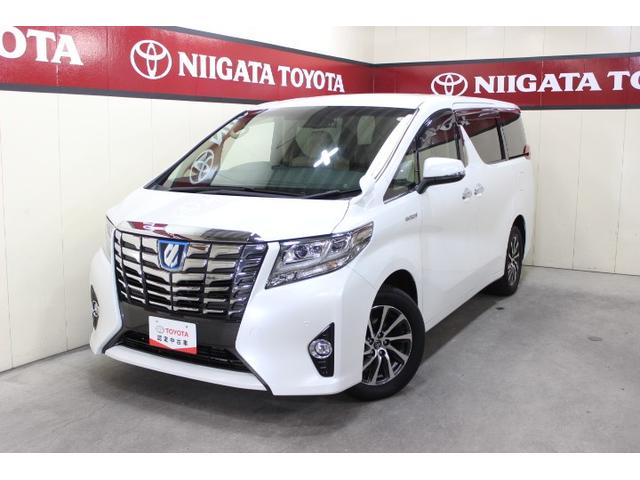 At@[hnCubh(g^) f@irsu@dXCh@dsb@obNJ@X}[gL[@hR@~[WbNvC[ڑ@h~@\@kdcwbhv@L[X@h~u@dV[g@ԒVl@`ar Îԉ摜