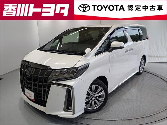 ȥ西 ե ӡץɡե륻꡼ʥ