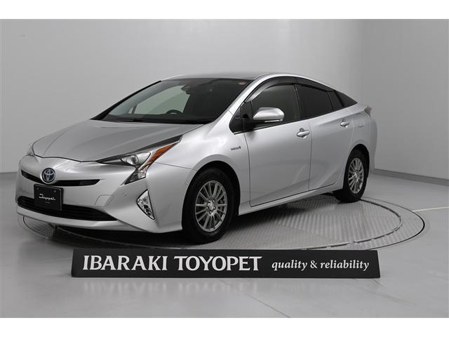 ȥ西 ץꥦ ӥեƥץ饹Ͳ򥷥ƥࡡ¥˥