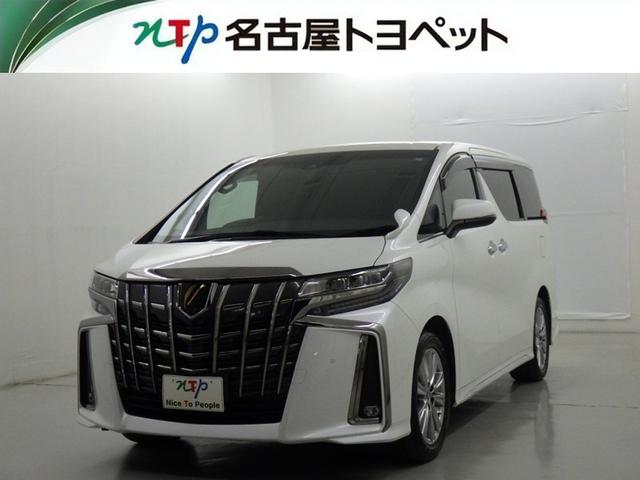 ȥ西 ե ӡץɡﳲڸƥࡡ꡼ʥ