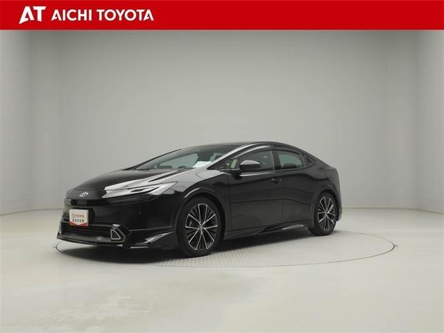 ȥ西 ץꥦ ڡꥢ顡ץꥯå塡Уץ