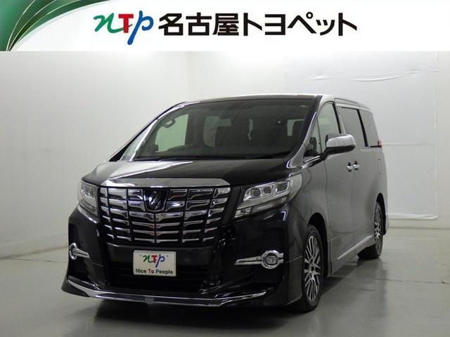 ȥ西 ե ӣåѥåﳲڸƥࡡ꡼ʥ