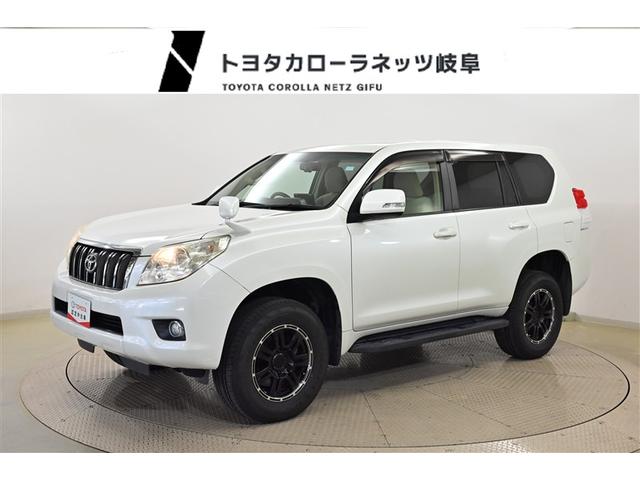 ȥ西 ɥ롼ץ ԣءꥢ顡£դɻ