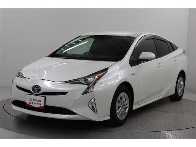 ȥ西 ץꥦ ӥեƥץ饹Ͳ򥷥ƥࡡ¥˥