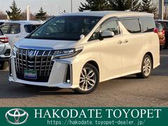 ȥ西եɡӡåѥåףġե륻