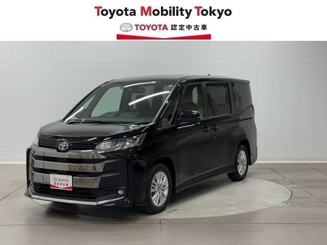 ȥ西 Υ ϥ֥åɣӡݣǡͤΤꡡͷڸξưɥ