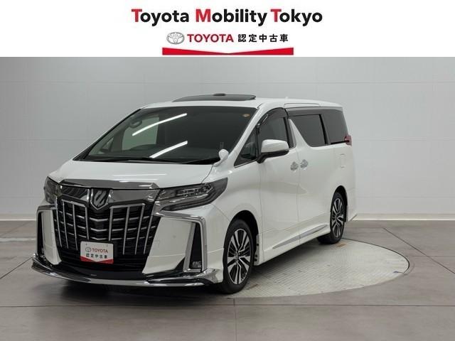 ȥ西 ե ӡåѥåξưɥ¥˥