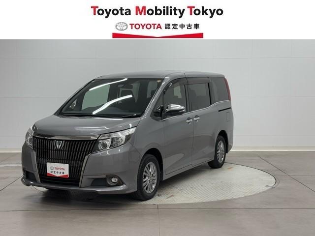 ֡¿Υȥ西󥰥ݾդǤ ʣڿۤǴؤǤŸ졦ӥ 1