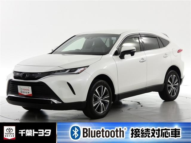 ȥ西 ϥꥢ ǡʥӡɥ쥳ߥ塼åץ쥤䡼³