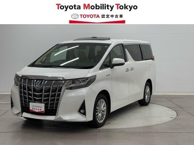 ȥ西 եɥϥ֥å ǡƥѥåࡼ롼ա¥˥