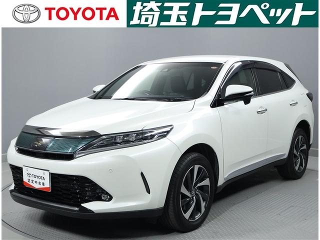 ȥ西 ϥꥢ ץߥࡡ¥˥ե륻ԣ̣֡ţĥ饤