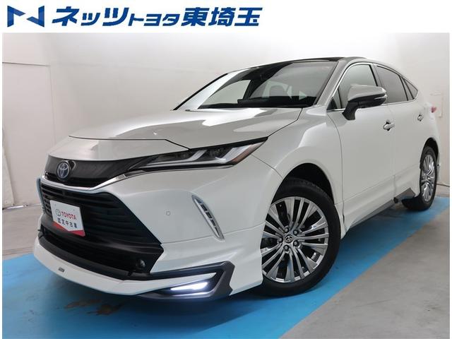 ԸΤͤؤ˸¤餵ĺƤޤ ʣ£̥ץߥॵɥƥܤΥϥꥢϥ֥å 1